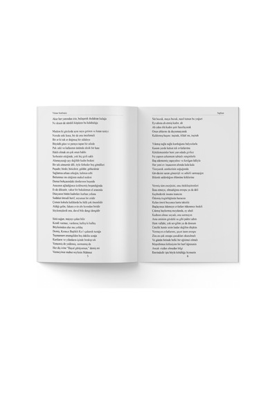 Oya Baykuş - Yıkım Senfonisi