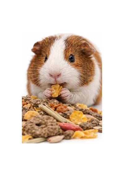 Versele Laga Muesli Guinea Pig Yemi 1 Kg