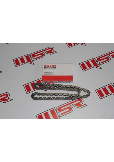 Eksantrik Zincir Rx3i Evo 3 4 100l