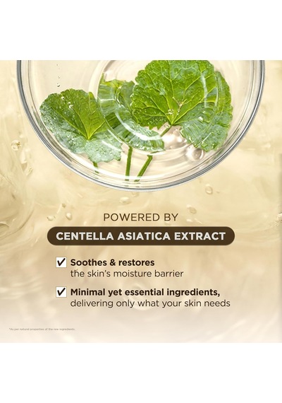 Madagascar Centella Ampoule 100 Ml