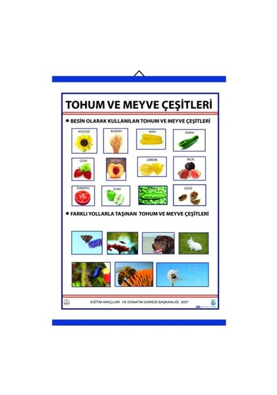 Tohum Ve Meyve Çeşitleri Levhası 70X100 Cm