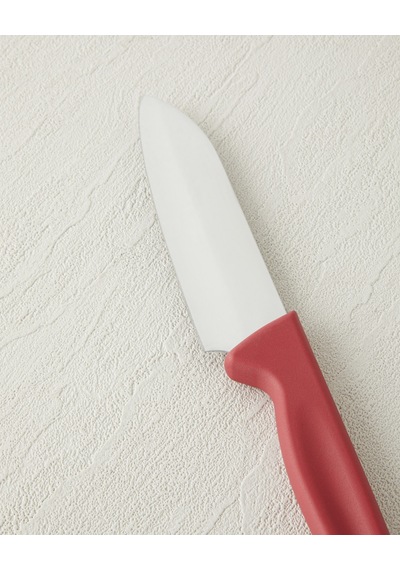 English Home Titan Steel Paslanmaz Çelik Bıçak 12 Cm Kırmızı Kırmızı
