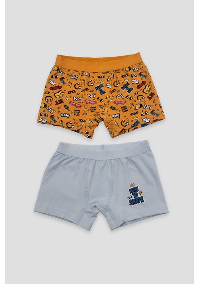 Defne Baby Erkek Çocuk Desenli Premium Pamuklu 2'li Boxer Seti Çok Renkli