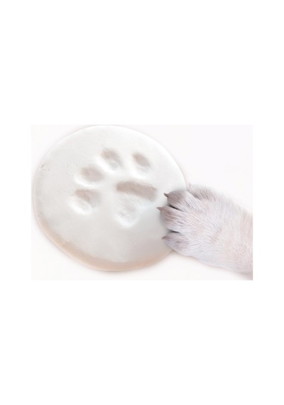 Pawvinci Pati Baskı Kiti