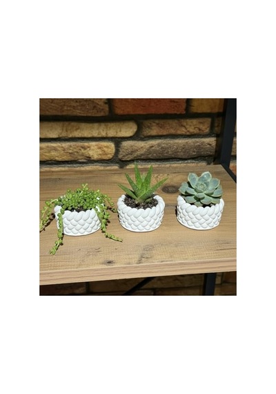 El Yapımı Mini Saksı Seti, 5 Cm, Modern Beton Tasarım