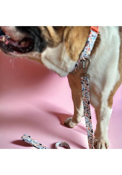 Recycled Köpek Gezdirme Kayışı, Gezdirme Kayışı Geri Dönüştürülmüş, Kadifemsi Dokulu, Çift Kilitli Karabina Kanca, 360 Dönüşlü, Dayanıklı, Bone Small