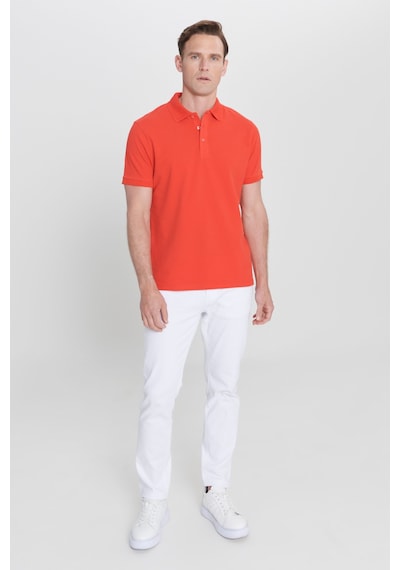 AC&Co / Altınyıldız Classics Erkek Nar Çiçeği Slim Fit Dar Kesim Polo Yaka %100 Pamuk Tişört 4A4820200001NCCXL Narçiçeği AC&Co / Altınyıldız Classics Erkek Nar Çiçeği Slim Fit Dar Kesim Polo Yaka %100 Pamuk Tişört 4A4820200001NCCXL Narçiçeği