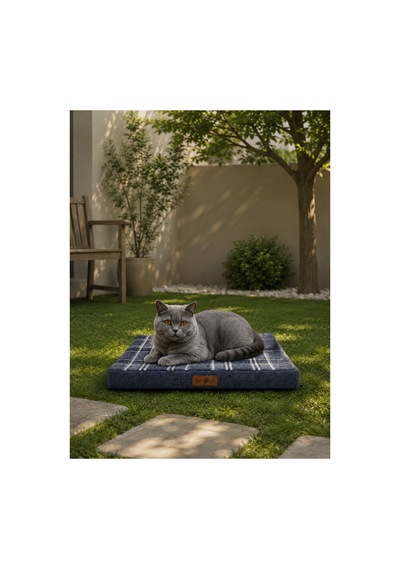 Kedi Ve Köpek Yer Minderi Ve Matı Üst Kalite Yıkanabilir Kılıflı Fermuarlı 5 Cm Süngerli Kaydırmaz Taban Kedi Ve Köpek Yatağı Ekose Mavi 1616614849 Kedi Ve Köpek Yer Minderi Ve Matı Üst Kalite Yıkanabilir Kılıflı Fermuarlı 5 Cm Süngerli Kaydırmaz Taban Kedi Ve Köpek Yatağı Ekose Mavi 1616614849