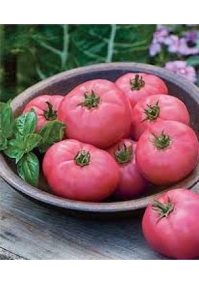Nadir Dev Pembe Domates Tohumu Ekim Seti