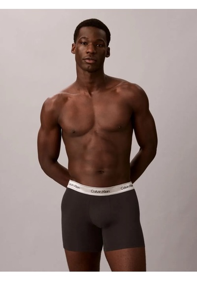 Calvin Klein Erkek Marka Logolu Günlük Kullanıma Uygun Gri Boxer Lv00nb4731 4xb