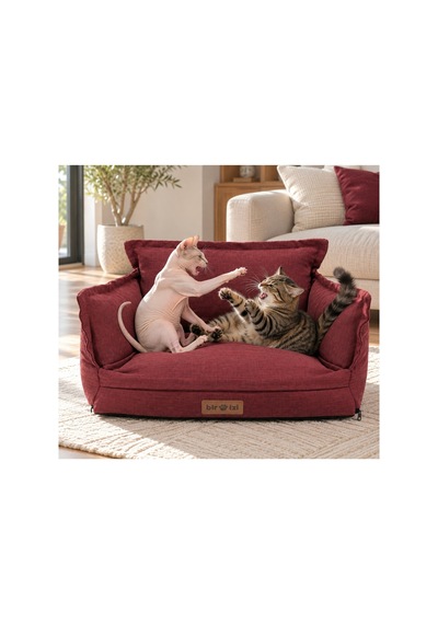 Kedi Ve Köpek Koltuğu Tamamen Fermuarlı Çıkarılabilir İç Minder Boncuk Elyaf Kaydırmaz Taban Kedi Ve Köpek Yatağı Bordo 1716708675 Kedi Ve Köpek Koltuğu Tamamen Fermuarlı Çıkarılabilir İç Minder Boncuk Elyaf Kaydırmaz Taban Kedi Ve Köpek Yatağı Bordo 1716708675