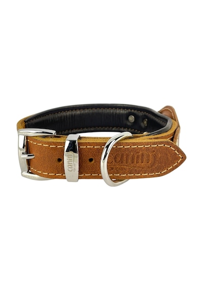 Canini Collar Hakiki Yağlı Deri Airtag Uyumlu Köpek Tasması Dayanıklı, Konforlu Ve Şık Tasarım, Airtag Böl Genel