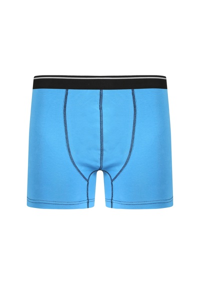 Akbeniz Erkek Pamuk Likralı Boxer Mavi 40133-Mavi