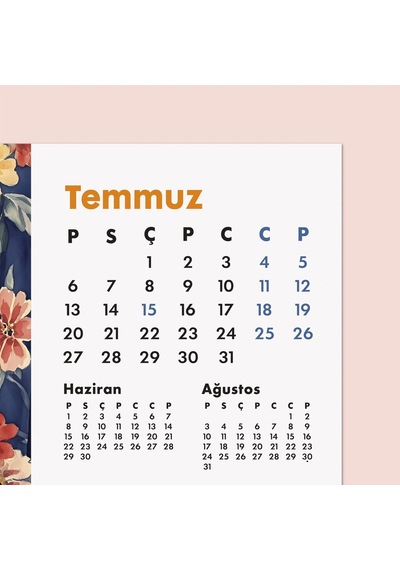 2027 Kedili Masa Takvimi Üç Aylık Takvim - Önceki Ay Sonraki Ay Kedi Severlere Hediye