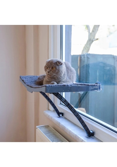 Cama Yapışan Kedi Yatağı