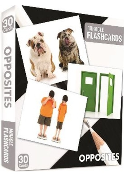 Miracle Flashcards Opposites