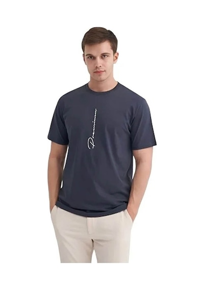 Cazador Regular Fit Antrasit Erkek T-shirt 40910
