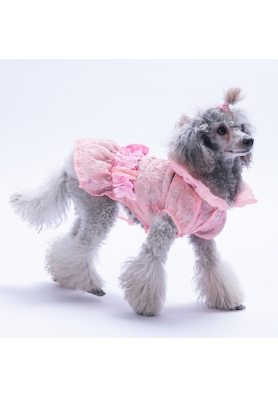 Pembe Valencia Çiçek Desenli Elbise Kedi Köpek Elbisesi - Kedi Köpek Kıyafeti