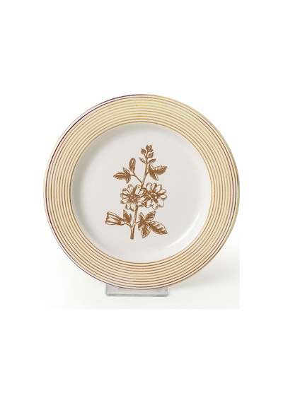 Keramika Floral Essence Assos Pasta Tabağı 22 Cm 4 Adet / 22890-93-94-22949 Çok Renkli