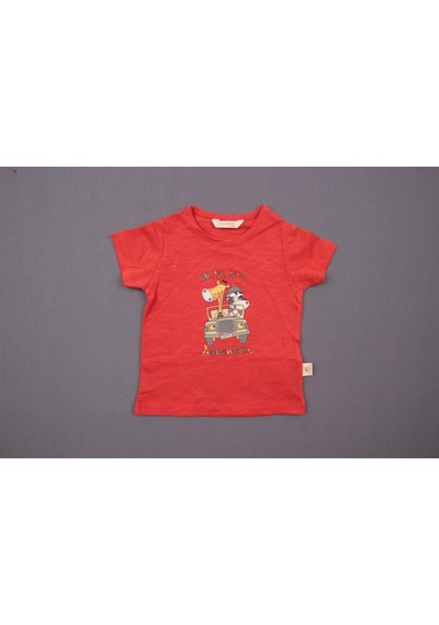 Almi Mini Damla T-shirt Safari Nar Çiçeği