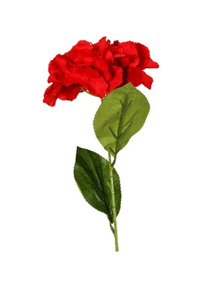 Vitale Ortanca Çiçeği Kırmızı 60 Cm Ak.Bg0134-K