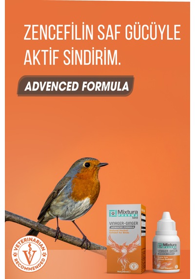 Mixtura Pharma Bird Vınager-gınger