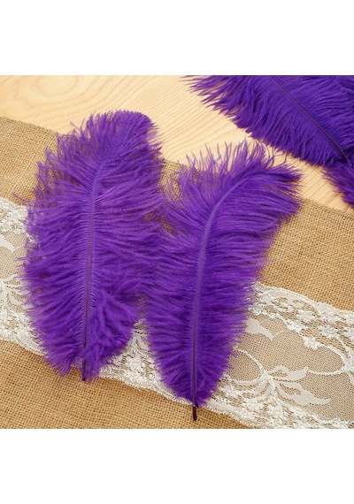 Kuzey Oyuncak 3 Adet Büyük Boy 35 Cm Mor Deve Kuşu Tüyü Vıp Purple Ostrıch Feather Büyük Boy Dekor Mor Kuş Tüyü 5+