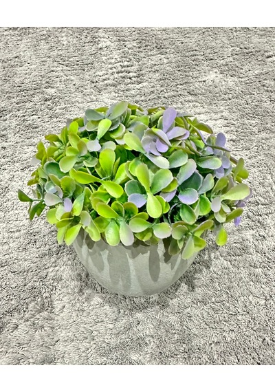 Premium Modern Gri Saksıda Gerçekçi Yapay Dekoratif Bitki 17 X 13 Cm Ev Ve Ofis Dekoru Çok Renkli