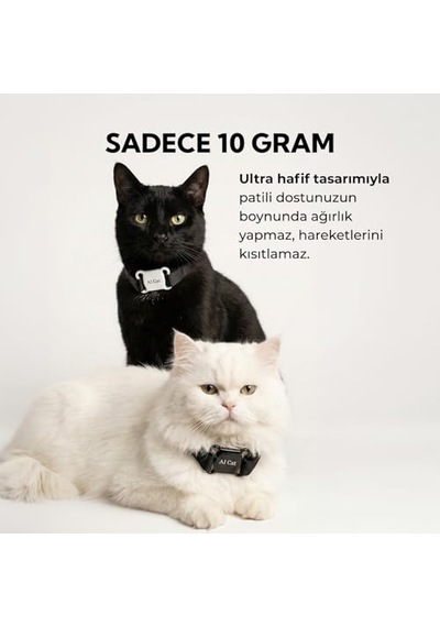 Royal Canin-pug 25 Pug Irkı Özel Sı 1,5 Kg 100 G