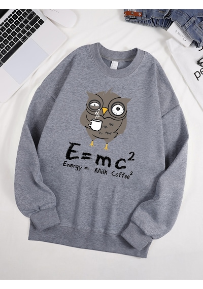 Startmore Startmorebaykuş İçme Kahve Ve Geç Kalma Desen Erkek Kazak Sonbahar 0-boyun Kazak Hip Hop Giysileri Uni Gri