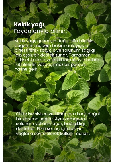 Tto Kekik Yağı 10 Ml Cilt Ve Saç İçin Doğal Arındırıcı Bakım
