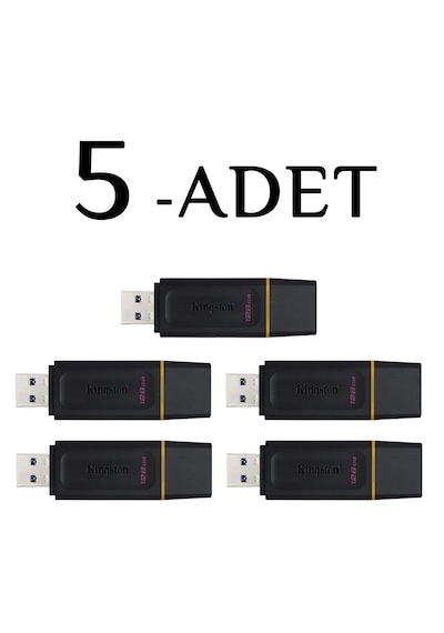 Kingston Dtx/128gb Exodia 128 Gb Usb 3.2 Flash Bellek 5-adet