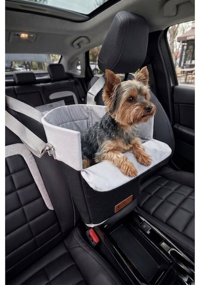 Reyo Max Design Kedi Köpek Taşıma Çantası Siyah Seyahat İçin Hafif Ve Hava Alabilen Evcil Hayvan Çantası