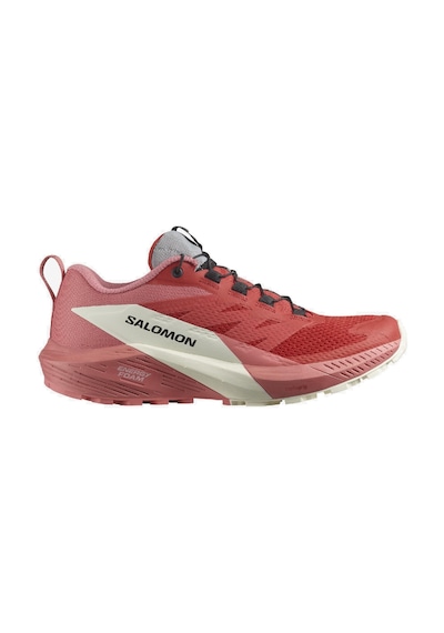 Salomon Sense Ride 5 W Kadın Koşu Ayakkabısı L47215200 Gri