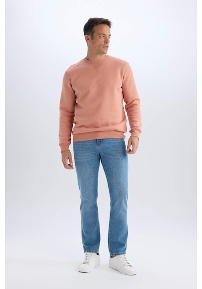 DeFacto Regular Fit Bisiklet Yaka Kalın Basic Düz Sweatshirt T3777AZ25SPPN602