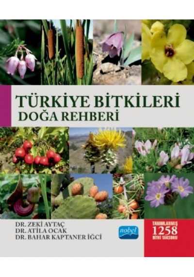 Türkiye Bitkileri Doğa Rehberi  - Atila Ocak  - Nobel Akademik Yayıncılık