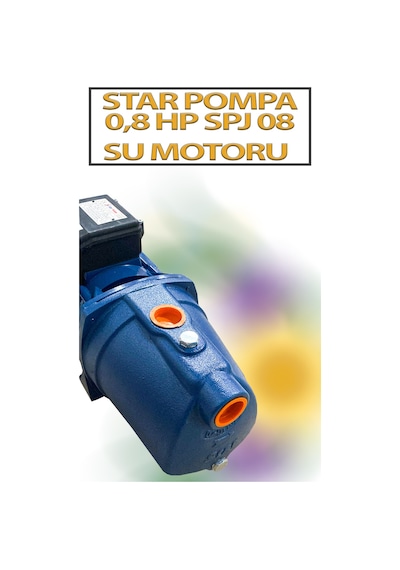 0,6 Kw 0,8 Hp 2900 D/d 3,6 A. Su Motoru 220 V/50 Hz Termistör Korumalı Pompa