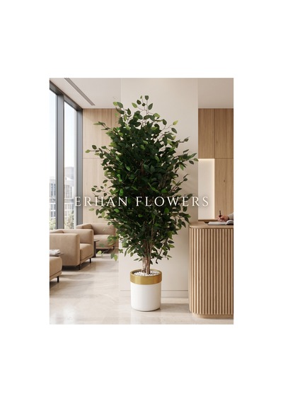Yapay Agaç 200 Cm Islak Doku Benjamin Beyaz Gold Darbuka Saksıda