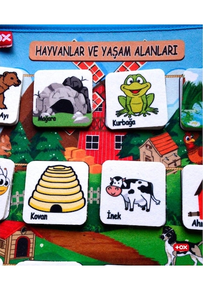 Tox Hayvanlar ve Yaşam Alanları Keçe Cırtlı Aktivite Sayfası