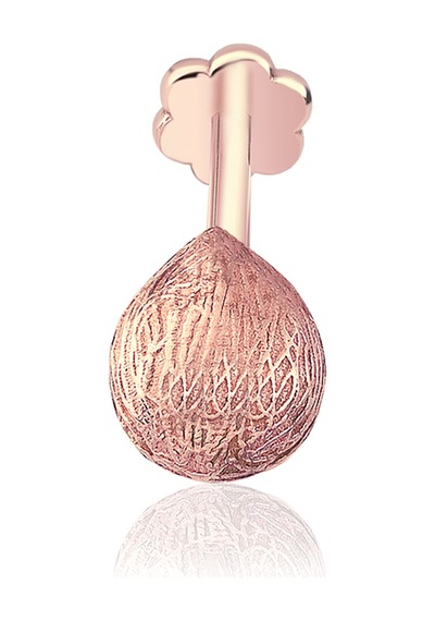 Coco Major Tragus