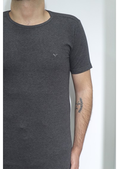 Santa Dmctekstil Erkek Düz Spor Kesim Dar Kalıp Bisiklet Yaka Basic T-shirt Füme