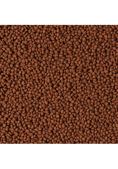 Tropical Cichlid Carnivore Small Pellet 1000 Gr Açık