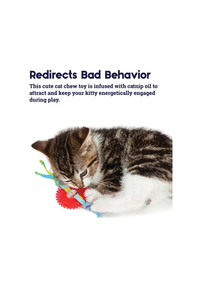 Kitty Chew Wheel Kedi Çiğneme Oyuncağı - Dayanıklı Ve Güvenli