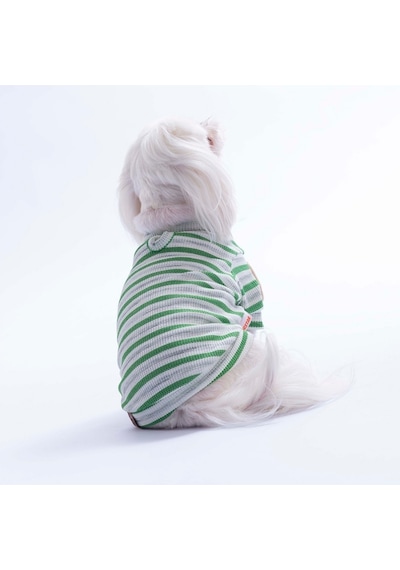 Yeşil Marseille Softline Çizgili Kedi Köpek Sweati Köpek Kıyafeti Kedi Kıyafeti