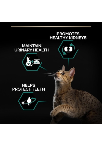 Sterilised Hindili Kuru Kedi Maması 3 Kg