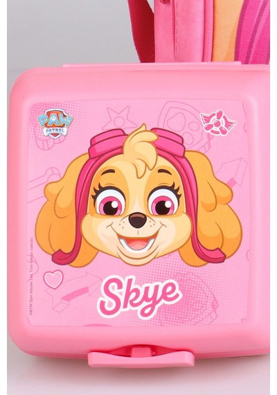 Dekomus İle Yeni Sezon Lisanslı Paw Patrol Okulda Macera Koleksiyonu Termoslu Beslenme Çantası Açık Gri