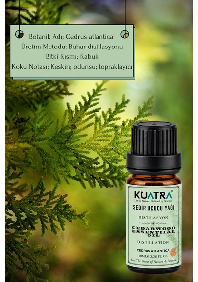 Kuatra Sedir Uçucu Yağı 10 ML