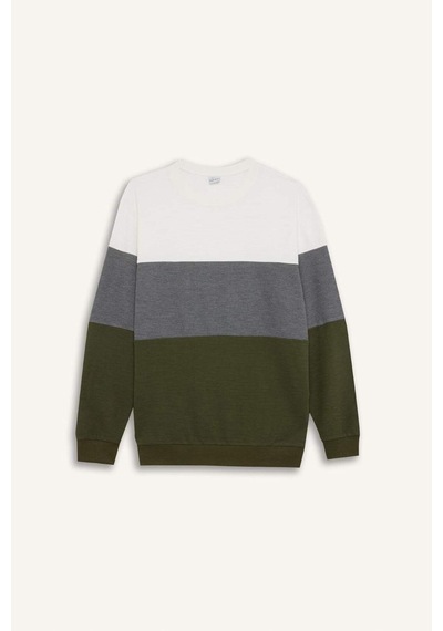 DeFacto Regular Fit Bisiklet Yaka Renk Bloklu Jakarlı Sweatshirt D5393AX24AUGN351