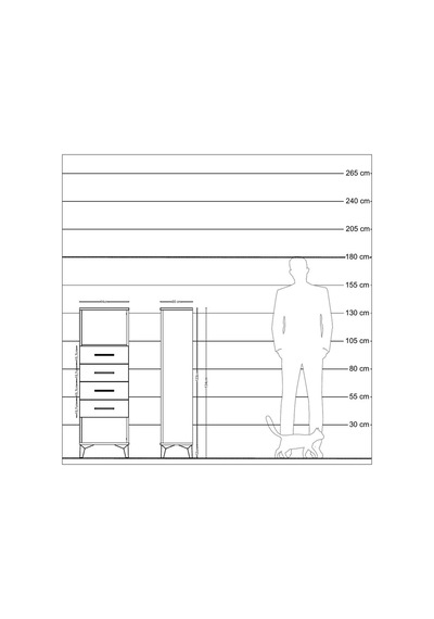 Arges Dolap Tek Raflı 4 Çekmeceli 44x30x134 Antrasit-antrasit Antrasit