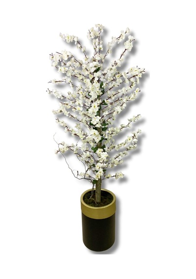 Cihan Çiçekçilik Beyaz Bahar Dalı 180 Cm 30x25 Gold Kemerli Siyah Saksı Beyaz